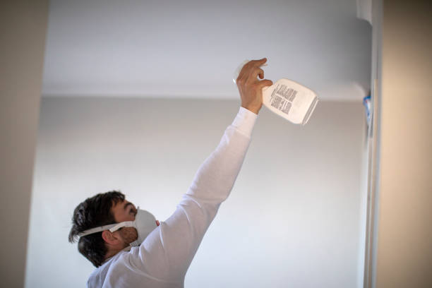 Best Mold Damage Repair  in Alanes Ridge, CA