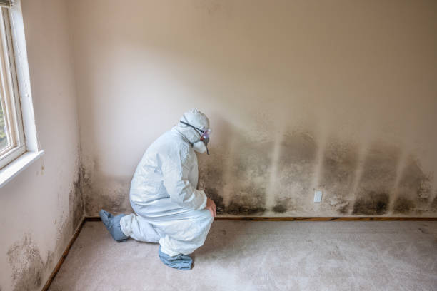 Best Mold Testing  in Alanes Ridge, CA